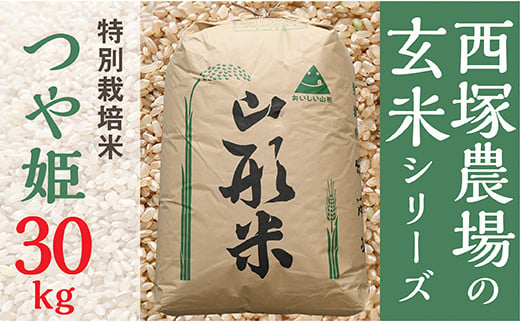 令和5年産】特別栽培米 つや姫 玄米 30kg×1 1312213 - 山形県最上町