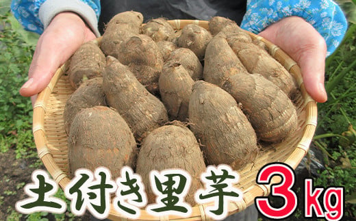 土付き里芋 約3kg ／ さといも 里いも サトイモ 産地直送 ポパイの家 766936 - 岩手県八幡平市