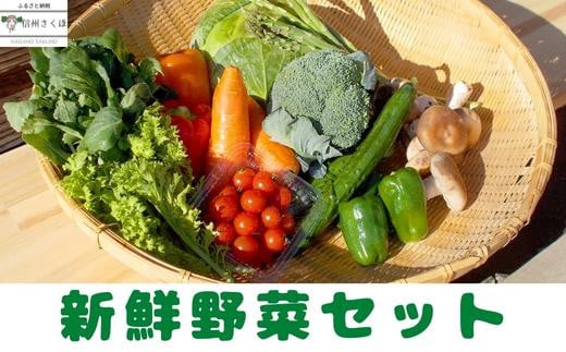 〔CH-07〕新鮮野菜セット 552076 - 長野県佐久穂町