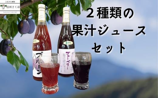 〔CH-05〕2種類の果汁ジュースセット 552074 - 長野県佐久穂町