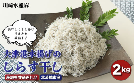 大津港水揚げのしらす干し ２kg（茨城県共通返礼品・北茨城市産） 868575 - 茨城県那珂市