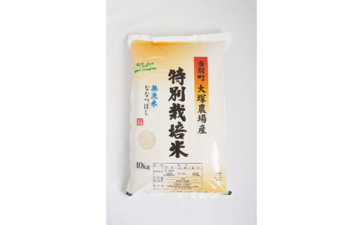 【新米】令和4年産 北海道米　ななつぼし　無洗米　10kg