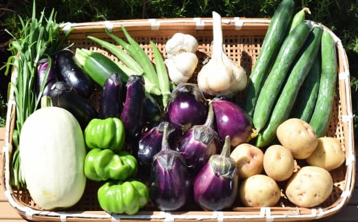 ※写真はイメージです。野菜は収穫時期に合わせておまかせで7～8種類となります。