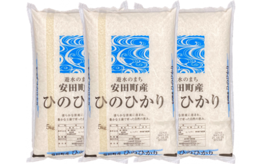 お米愛媛県ヒノヒカリ３０kg - 米/穀物