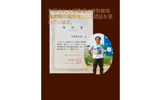 アイテムID:315139の画像3枚目