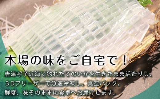 唐津呼子産いか活造り 1杯 350g前後 急速冷凍 新鮮そのまま食卓へ イカ 刺身 簡単 ギフト 22年 令和4年 唐津市唐津市 ふるさと納税 ふるさとチョイス