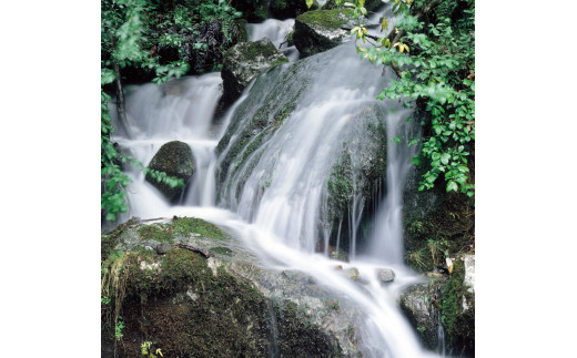 仕込み水として用いられる兵庫県・多可町の清流杉原川の名水。
