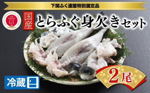 前拓水産】淡路島3年とらふぐ（活身欠き【ミガキ】１匹分）◇配送10月8