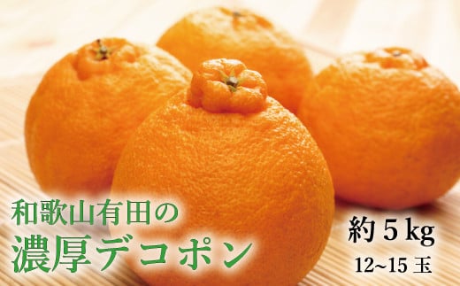 【大人気】和歌山有田の濃厚大玉デコポン　12～15玉(約5kg)　※2025年1月中旬～3月下旬に順次発送【ard006B】 765330 - 和歌山県串本町