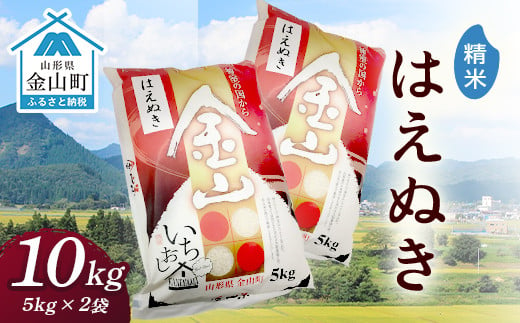 金山産米「はえぬき【精米】」（5kg×2袋） 計10kg 米 お米 白米 ご飯 精米 ブランド米 はえぬき 送料無料 東北 山形 金山町 F4B-0356 413565 - 山形県金山町