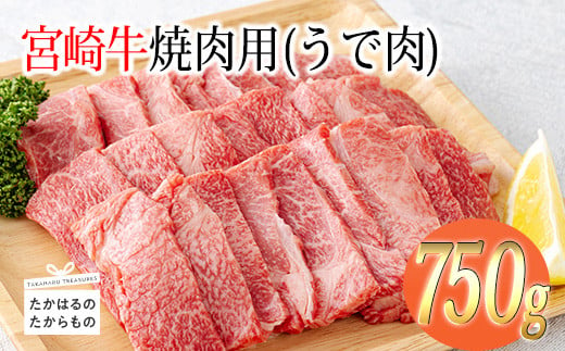 宮崎牛焼肉用（うで肉）約750g 