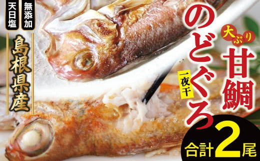 大田市を代表する魚、甘鯛・のどぐろの一夜干をセットでお届け！