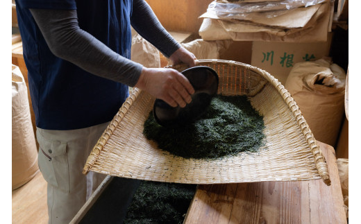 【定期便】「川根の茶」ペットボトル　毎月1ケース×6ヶ月、作業風景