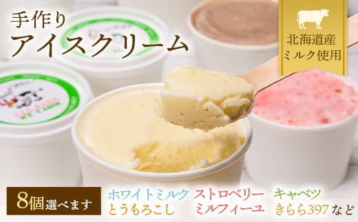 北海道産 南幌町 手作りアイスクリーム 120ml×8個セット (お好み詰め合わせ) NP1-141