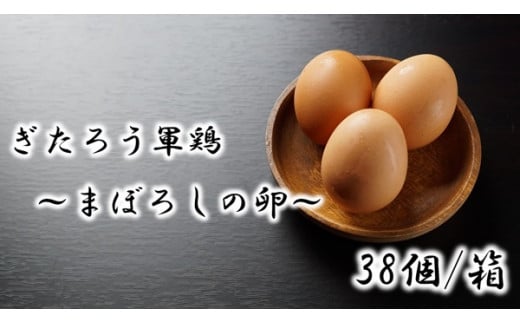 【10-293】幻の卵　ぎたろう軍鶏の生みたてたまご38個 602505 - 長野県辰野町