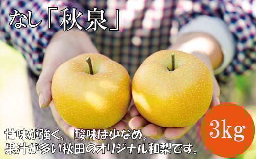 期間・数量限定[陽気な母さんの店]R7年産「和梨 秋泉」(3kg)85P3403 / 東北 秋田 大館 梨 ナシ なし 和梨 果物 くだもの フルーツ 東北 秋田 大館 中山地区 中山なし 中山梨 なかやまなし 秋泉 農家直送