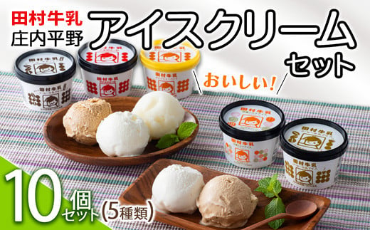 [田村牛乳]庄内平野おいしいアイスクリームセット(5種10個)