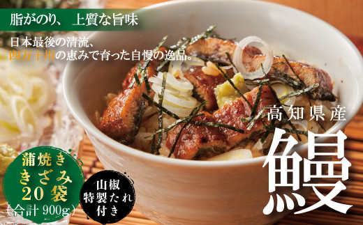 うなぎ 高知県産 蒲焼10本売 送料無料 www.sonad.lk