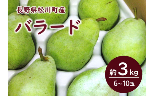  松川町産のおいしい洋梨！！