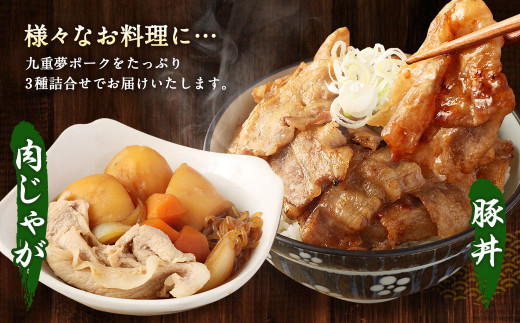【大分県産】九重 夢ポーク (お米豚) 2.5kg セット 豚肉