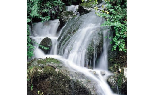 仕込み水には、江戸時代に播磨十水のひとつとして愛水されていた、兵庫県・多可町の清流杉原川の名水を使用。