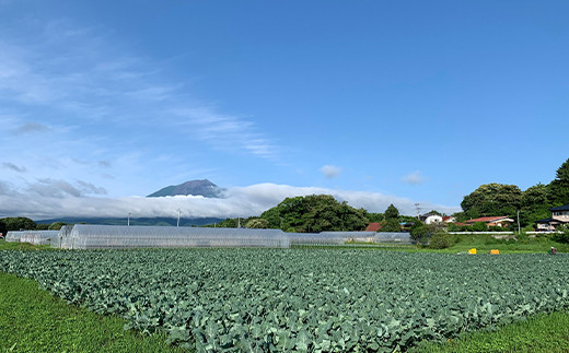 岩手山からのミネラルたっぷり含んだ伏流水の恩恵を受けて、八幡平の野菜は美味しく育ちます。