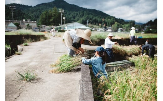 神山の旬を味わう農体験（1回につき４名様まで） 782635 - 徳島県神山町