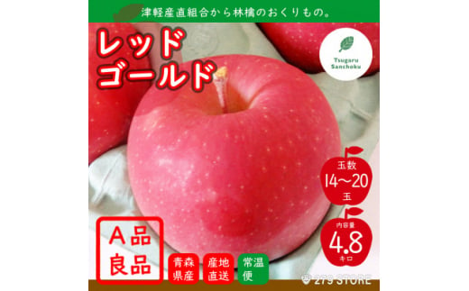 10月下旬頃発送 レッドゴールド A品 5キロ箱 4.8kg 14～20玉 津軽りんご 産地直送【1324409】 413188 - 青森県青森市