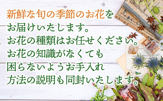 新鮮な旬のお花を使用いたします。
お手入れ方法の説明も同封いたします。
プレゼント、記念日、ご自分へのご褒美にも◎