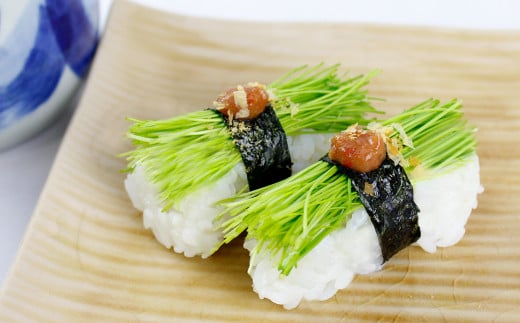 調理例／芽ねぎ寿司