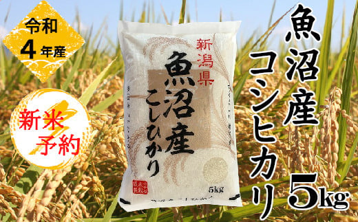 令和4年産 魚沼産コシヒカリ5kg 小千谷米穀 小千谷市小千谷市 ふるさと納税 ふるさとチョイス