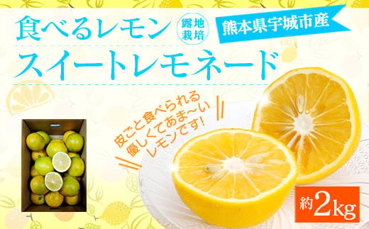 【12月上旬～順次発送予定】食べるレモン スイートレモネード 約2kg 吉田レモニー 檸檬 柑橘