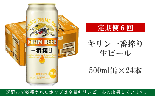【定期便6回】キリン一番搾り生ビール 500ml 缶×24本