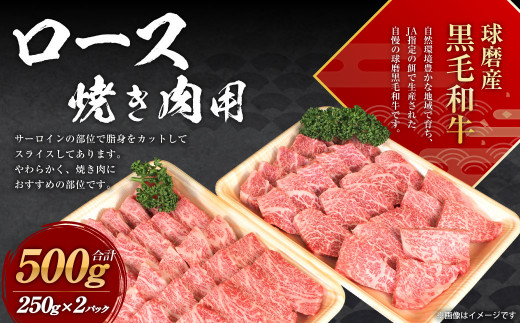 球磨産 黒毛和牛 ロース 焼き肉用  500g (250g×2パック)  804084 - 熊本県水上村