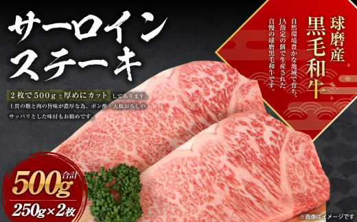 球磨産 黒毛和牛 サーロイン ステーキ 500g (250g×2枚) 804081 - 熊本県水上村