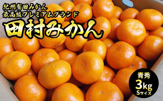 U6238n_【ふるさと納税】「高級 田村みかん」青秀 約3kg Sサイズ 和歌山県有田産 有田みかん【ミカン 蜜柑 柑橘 温州みかん 和歌山産 有田みかん】