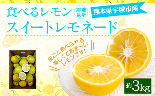 食べるレモン スイートレモネード 約3kg 吉田レモニー 檸檬 柑橘