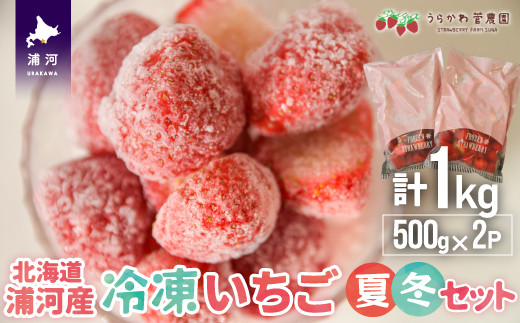 北海道浦河町で生育された「冷凍夏いちご・冬いちご」の計1kgセットです。