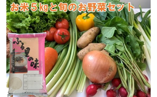 洋野町産「あきたこまち」5㎏と旬のお野菜をセットでお届けします
