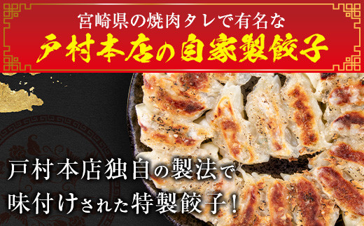 5 戸村本店特製味付 自家製餃子 10個 12パック 計1個 惣菜 加工品 宮崎県日南市 ふるさと納税 ふるさとチョイス