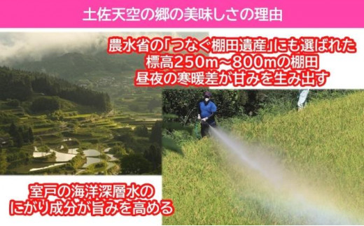 ☆令和5年産☆2010年・2016年 お米日本一コンテスト inしずおか 特別