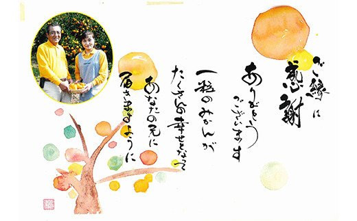麗紅 約3kg（15～25玉）吉田レモニー みかん 柑橘