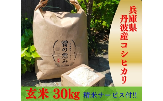 丹波産コシヒカリ玄米30kg / 兵庫県丹波市 | セゾンのふるさと納税