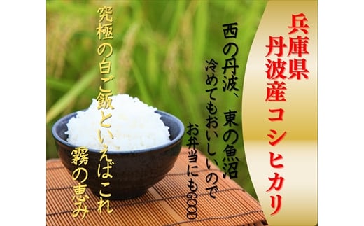 食品兵庫県丹波産こしひかり白米15㎏(令和元年産) - 米/穀物