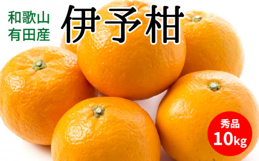 U6307_【ふるさと納税】【2026年先行予約】伊予柑 秀品 約10kg 和歌山県有田産【いよかん 柑橘 和歌山産】