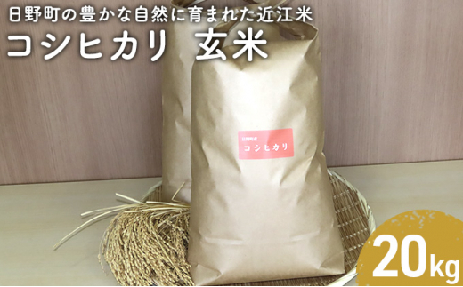 【令和5年産】 コシヒカリ 玄米20kg 1271288 - 滋賀県日野町