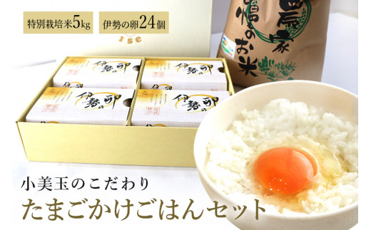 22 A 令和3年産 こだわり たまごかけごはんセット 茨城県小美玉市 ふるさと納税 ふるさとチョイス