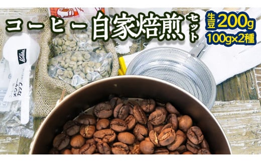 コーヒー 自家焙煎 セット コーヒー豆 200ｇ 2種 × 100ｇ コーヒー ブレンド 生豆 焙煎 初心者 お手軽