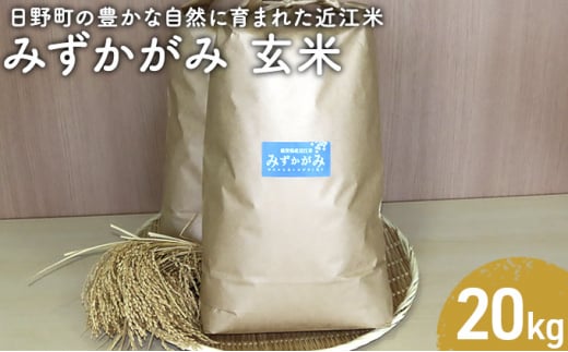 【令和5年産】 みずかがみ 玄米20kg 1271290 - 滋賀県日野町