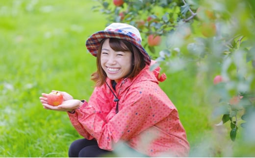 12月発送・特選】高徳（こうとく）りんご 約2kg【弘前市産・青森りんご